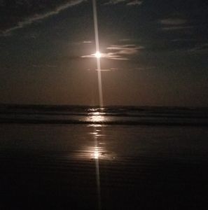 Meet your Posher, Jeannette